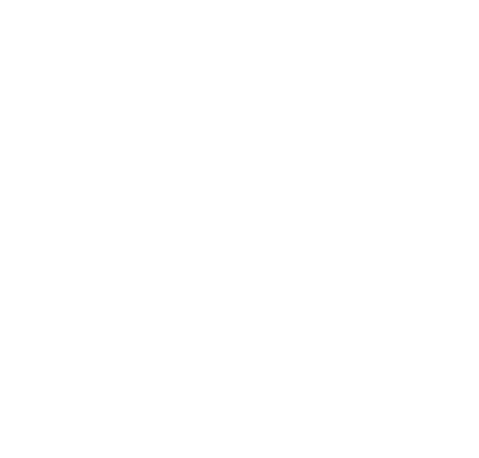5,0 ORIGINAL