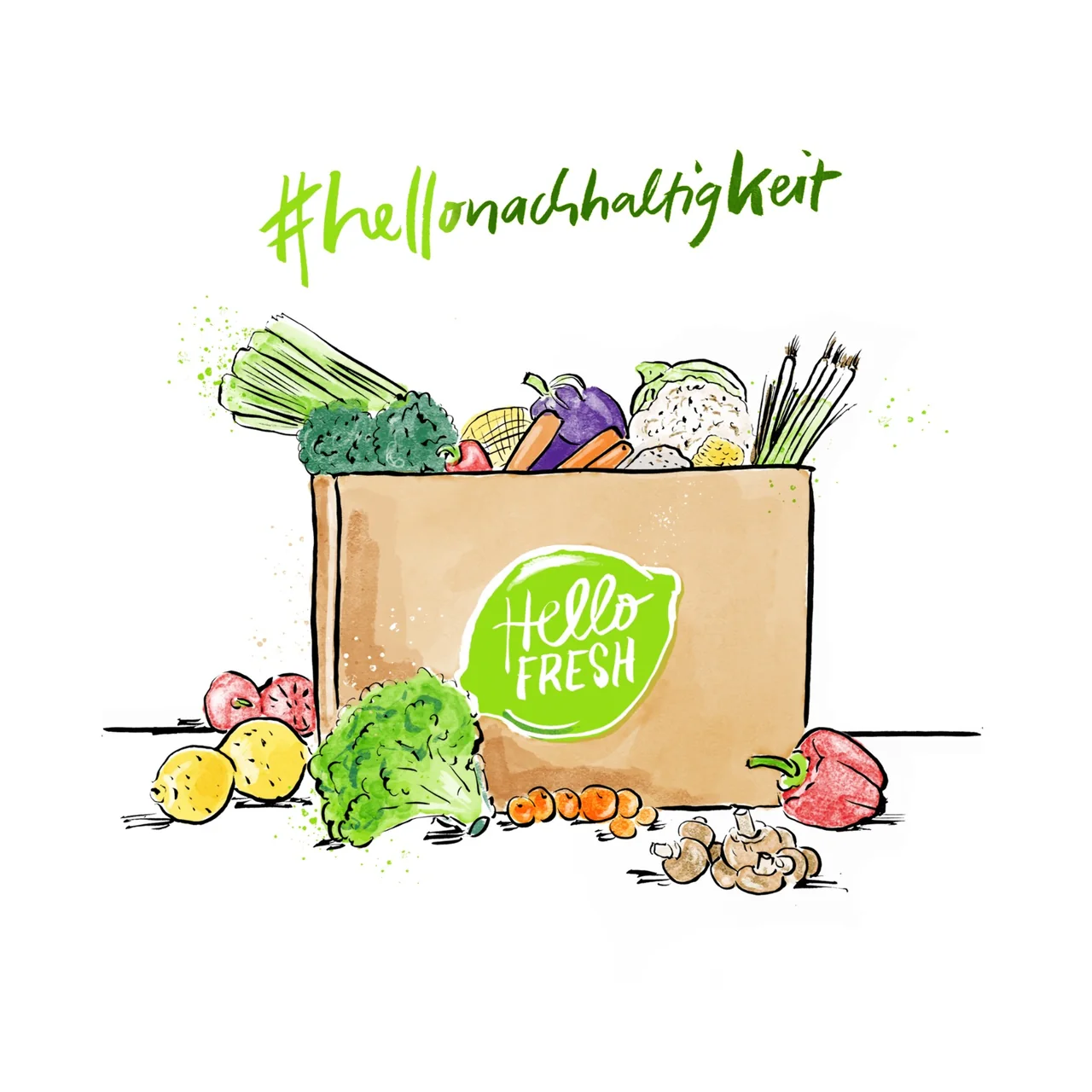 Originale HelloFresh-Illustration mit Gemüse und dem Hashtag hellonachhaltigkeit.