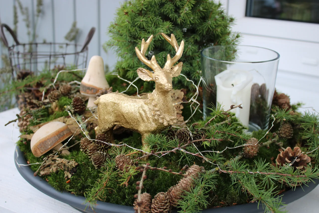 Winterliche DIY-Dekoration mit Moosschale, goldenem Hirsch, Zapfen und Lichterkette