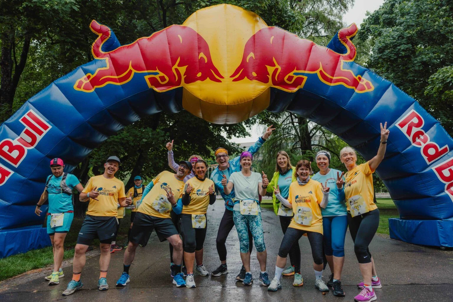 RB_WingsForLifeRun_Case_Thumb