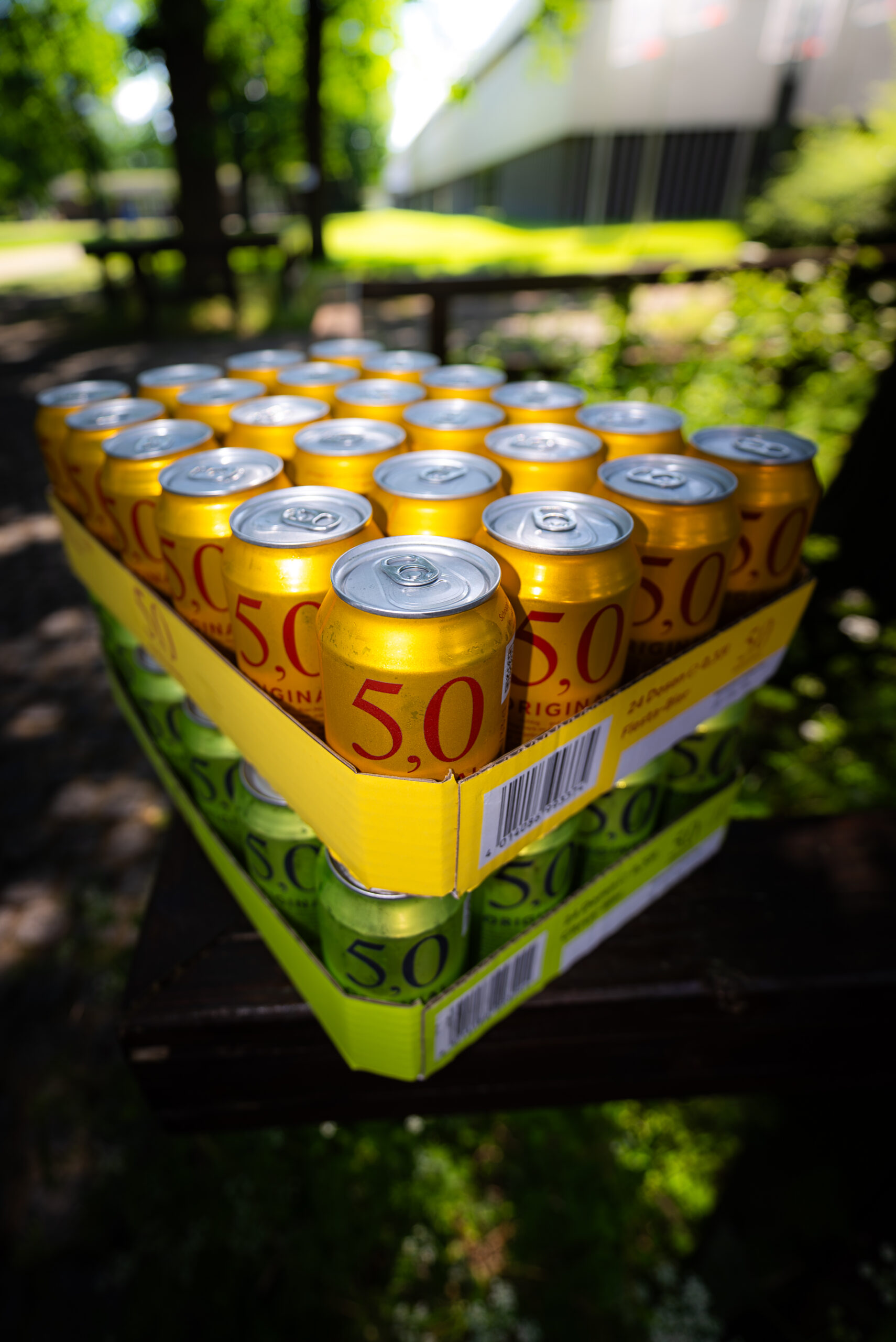 DSC00979-Verbessert-RR