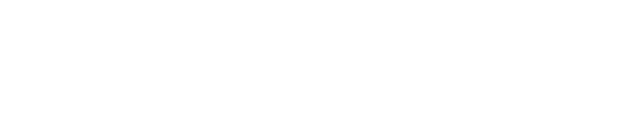 BaWue_VM_Logo_rgb_neg