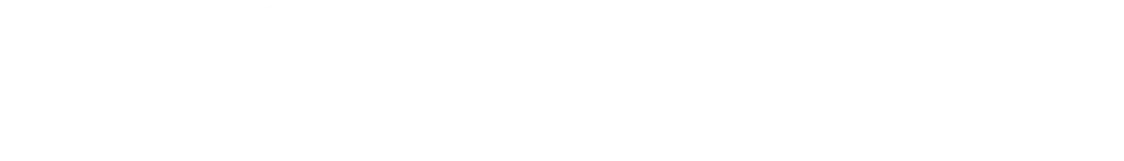 Diconium_Logo