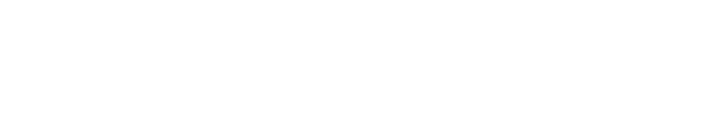 dsv_gruppe_w