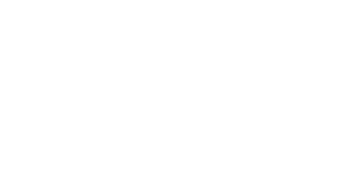 ssb_logo_wh