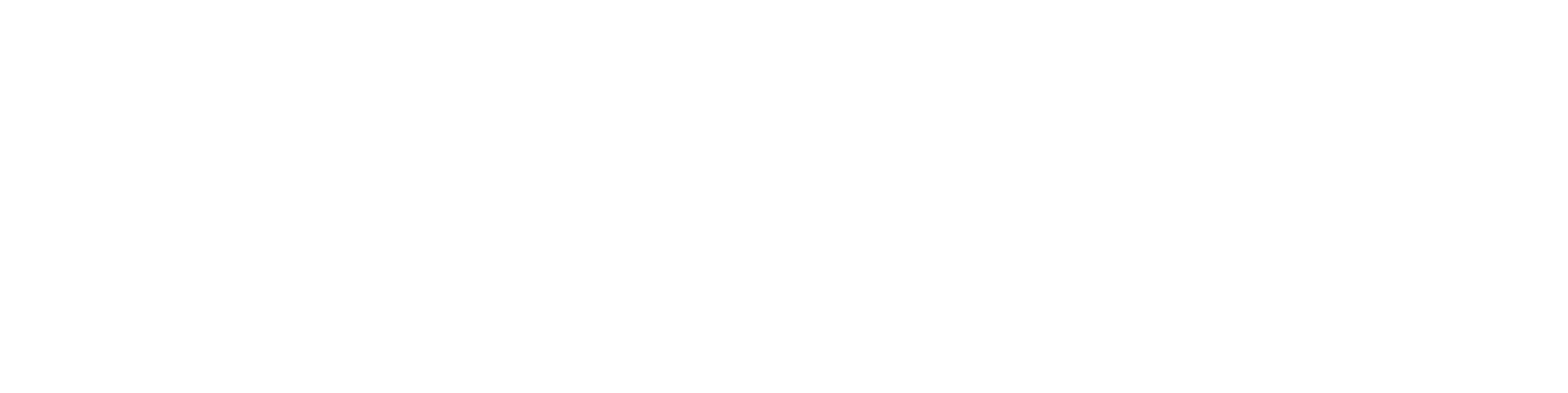 NETZER logo white